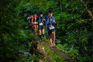 BIB: 
                            <button type="button" onclick="openModal(18922820)" class="btn btn-primary btn-sm float-right btn-popup" data-toggle="modal" data-target=".modal-high-quality">
                        <i class="fas fa-shopping-cart"></i> Add to Cart
                    </button>
                                            <button type="button" onclick="isThisMe(18922820, true)" class="btn btn-success btn-sm float-right btn-popup btn-isme hidden" data-toggle="tooltip" data-placement="bottom" title="นี่คือรูปของคุณใช่ไหม คลิกที่นี่เพื่อเอาเข้าอัลบั้ม">
                        <i class="fas fa-plus"></i> Add to album
                    </button>
                    <button type="button" onclick="isThisMe(18922820, false)" class="btn btn-warning btn-sm float-right btn-popup btn-isnotme hidden">
                        <i class="fas fa-ban"></i> Remove from album
                    </button>